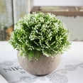 thumbnail image 2 of Mini plantas suculentas artificiales con maceta, planta decorativa para el hogar, jardín, cocina, boda interior y exterior, 2 of 4