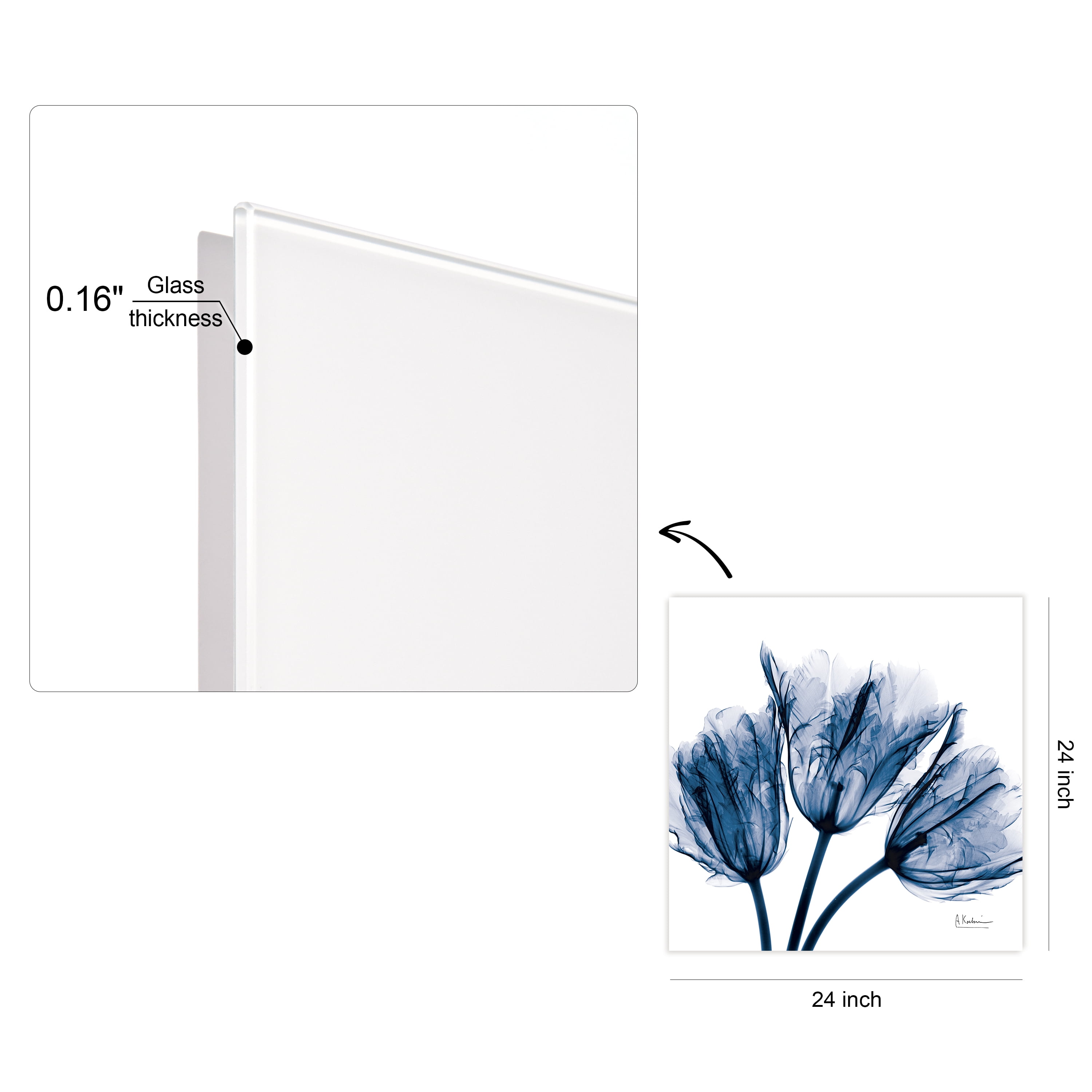 Empire Art Direct Blue Tulip X-Ray Frameless Free Floating Tempered Glass Panel Graphic Wall Art, 24" x 24" x 0.2", Ready to Hang