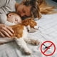thumbnail image 5 of Mosquitera de malla con cierre magnético: cierre mágico resistente para puerta con imanes para puertas correderas, de patio, francesas, delanteras y traseras, apto para niños y mascotas, fácil de, 5 of 5
