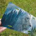 thumbnail image 5 of 1 Pcs 2D Flat License Plate Covers & Frames, The Lion the Witch For Decorative Front, Waterproof For Decoration Aluminum License Plate Covers & Frames Cover For Men Women, 12" X 6", 5 of 6
