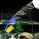 thumbnail image 4 of Houderco 1Par Guantes De Acuario De Goma Con Ergonómico Para Limpieza Y Mantenimiento, 4 of 7