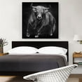 thumbnail image 2 of ARTCANVAS Bull Cattle Steer Animal Black White Canvas Art Print - Size: 36" x 36" (0.75" Deep), 2 of 9