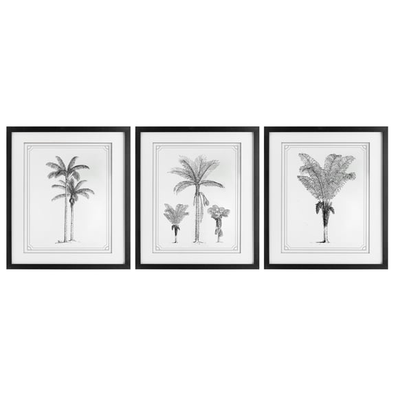 Minimal Vintage Palm Tree Sketches 3 Piece Black Framed Print Under Glass Set, design by Lettered and Lined