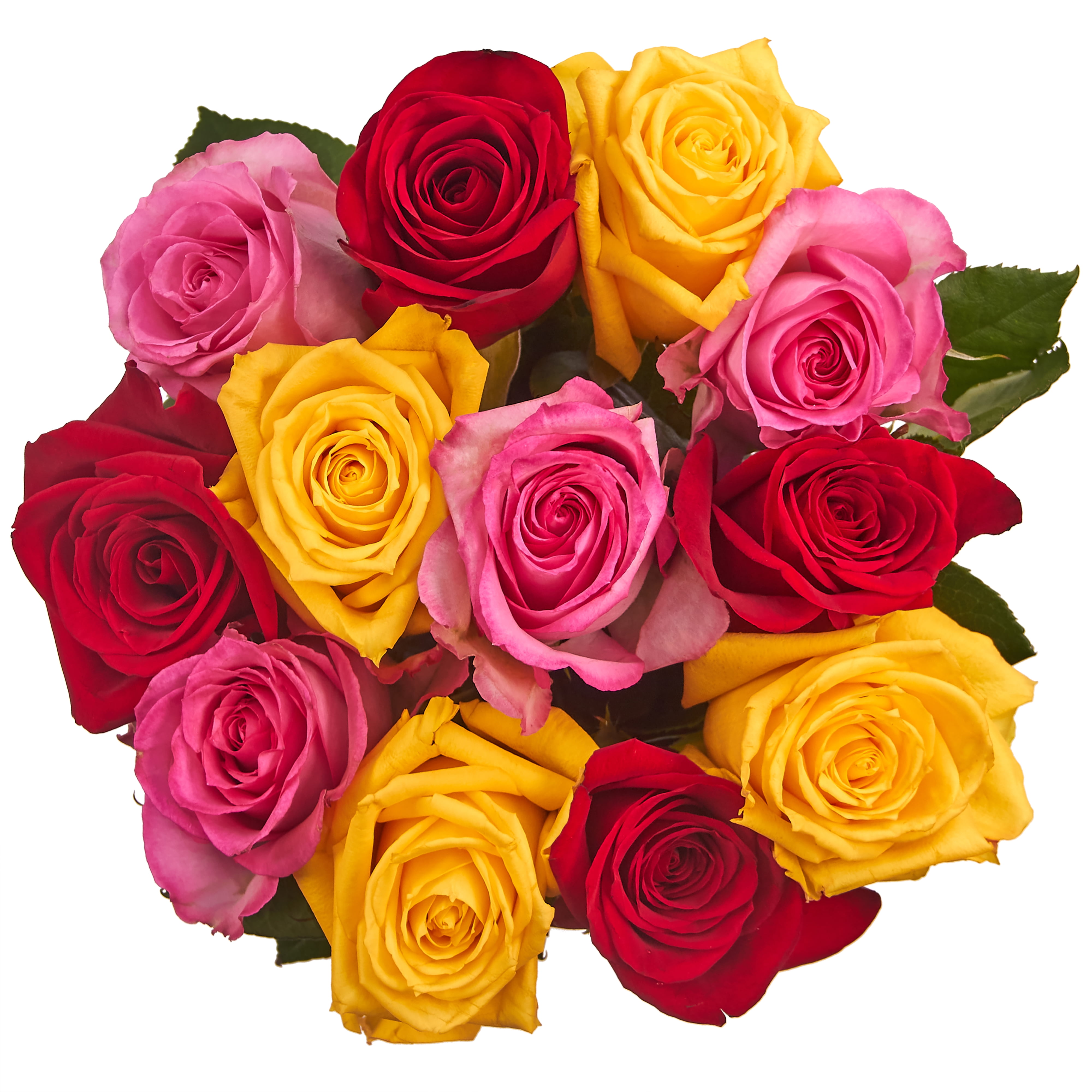 Dozen Rainbow Roses, Colors May Vary