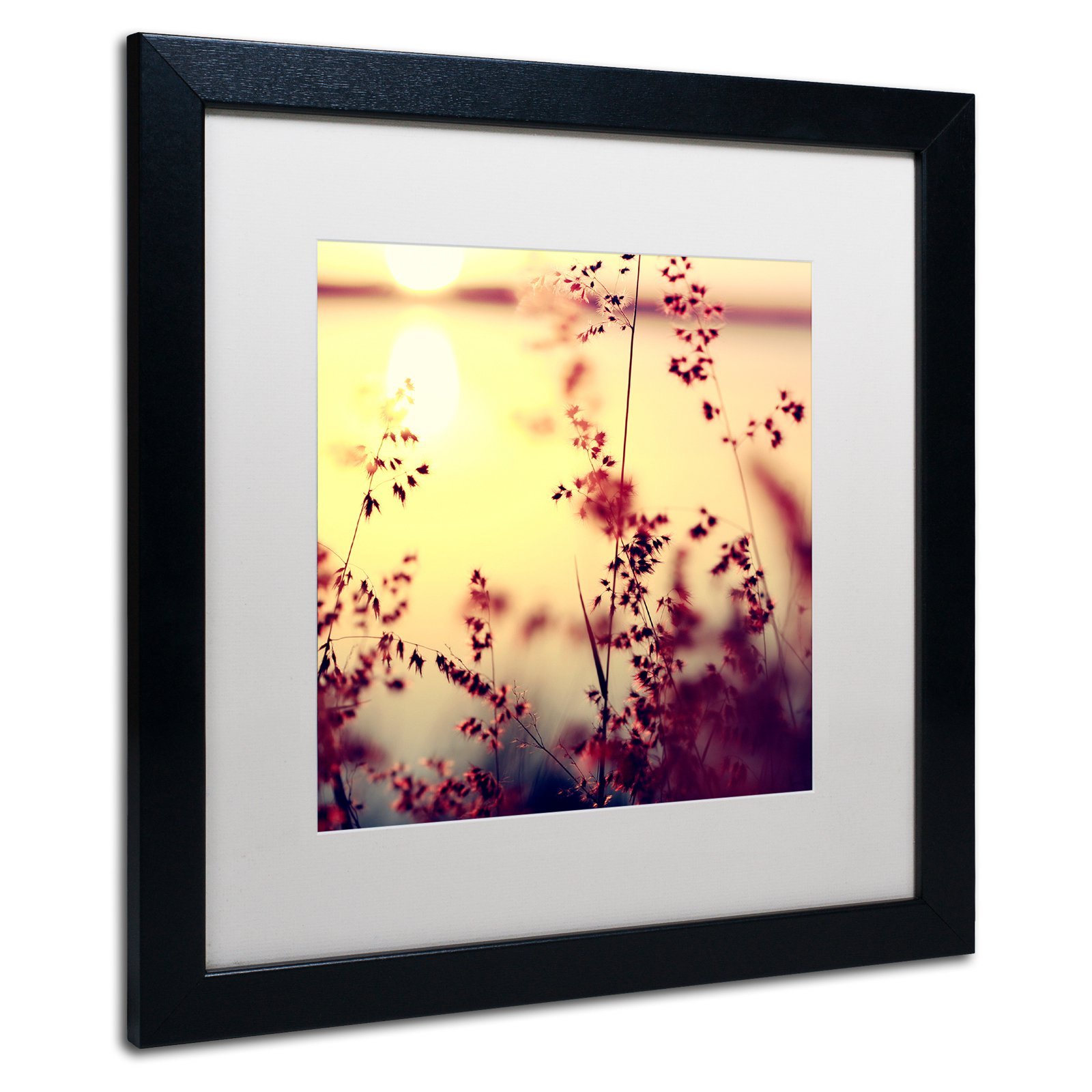 Trademark Fine Art "At the End of the Day" Canvas Art by Beata Czyzowska Young, White Matte, Black Frame