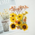 thumbnail image 2 of pitrice Dried Pressed Flower Handmade Decorative Dried Pressed Flower Artificial Flowers Dry Plant Resin Scrapbook Craft DIY Accessories Home Type 7, 2 of 9