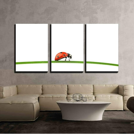 3 Piece Bug wall26 - 3 Piece Canvas Wall Art - Ladybug on Grass Isolated Macro - Modern Home Decor Stretched and Framed Ready to Hang - 24