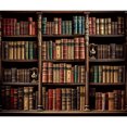thumbnail image 3 of SUNOLIFE Vintage Library Backdrop Banner Bookcase Bookshelf Photo Background 8x6ft, 3 of 3
