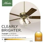 Hunter 52 inch Indoor Ceiling Fan with LED Lights and Pull Chain - Brass Ceiling Fan, Standard Mount, 5 Blades, For Bedroom, Living Room, or Kitchen, Quiet - Studio Series 53063, Antique Brass