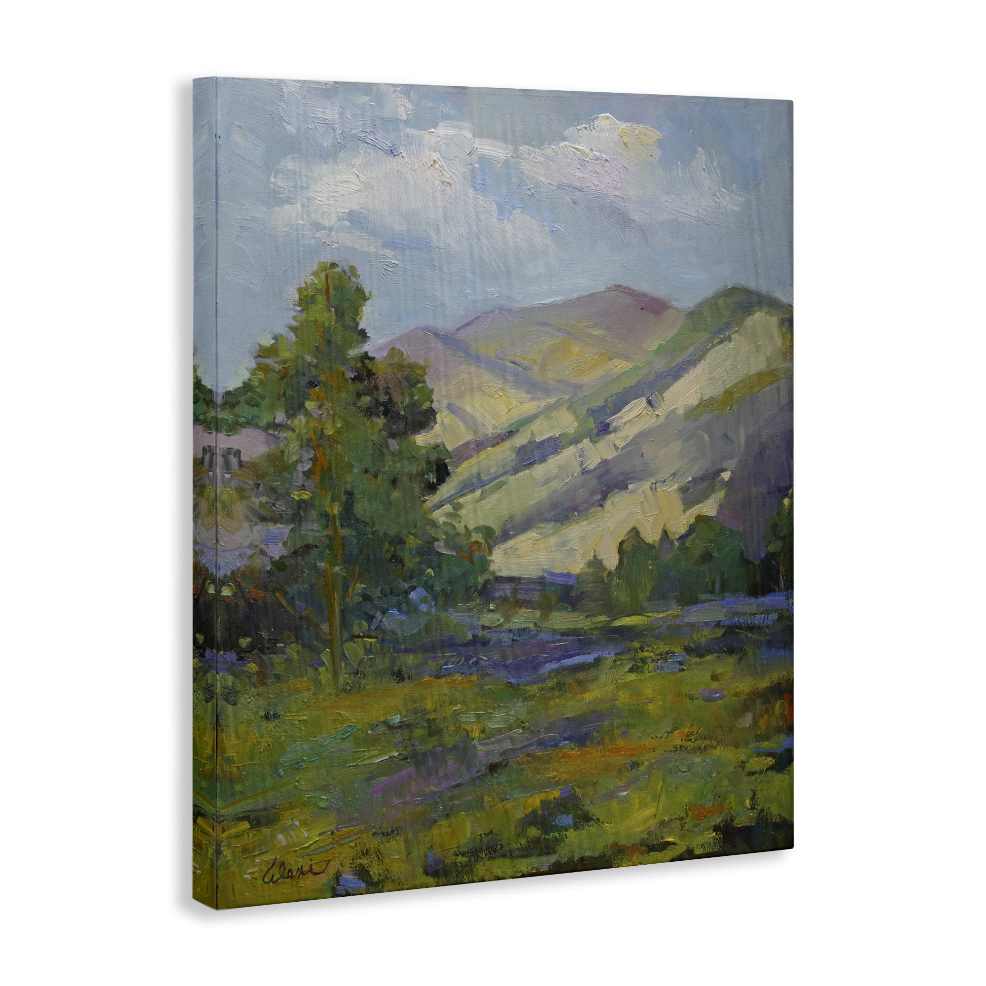 Stupell Industries Spring Day Mountain Landscape & Nature Painting Wrapped Canvas Art Print Wall Art, 16 x 20