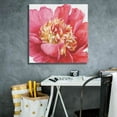 thumbnail image 5 of Epic Graffiti 'Pink Garden V' by Lisa Audit, Canvas Wall Art, 26"x26", 5 of 8