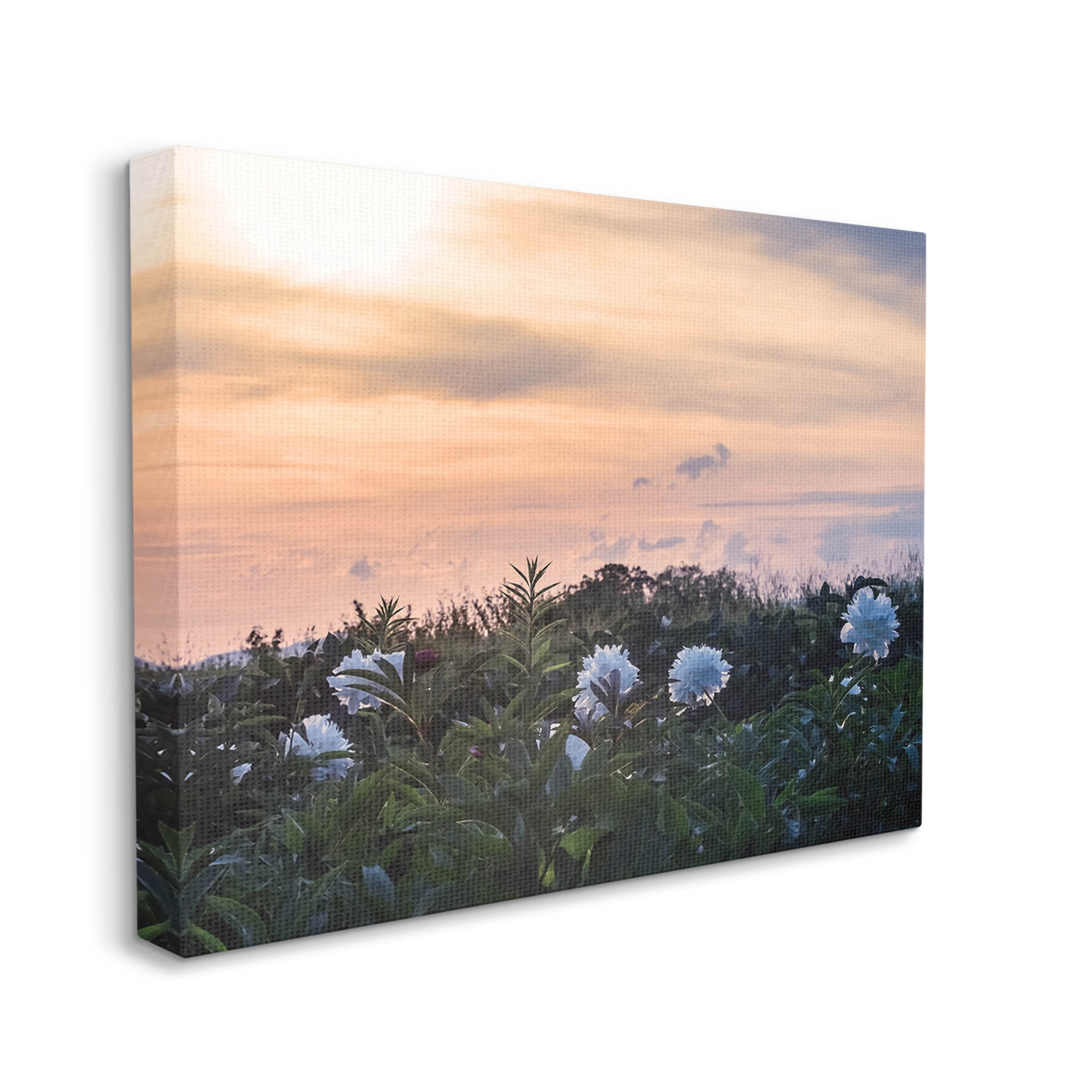 Wildflower Blossoms Sunset Sky Landscape Photograph Gallery Wrapped Canvas Print Wall Art