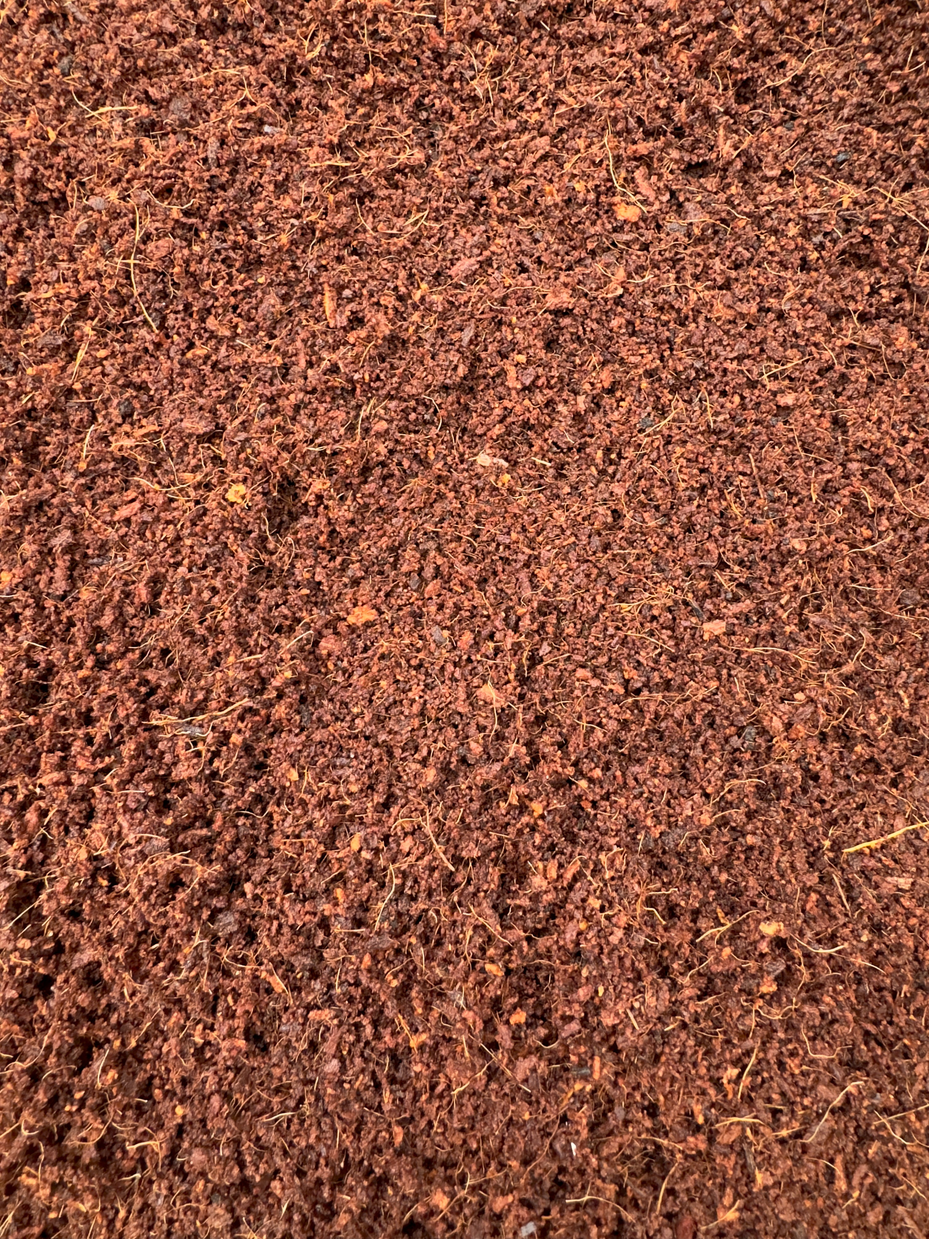 Plantonix Coco Bliss 650gm Bricks (6-Pack) - Organic Coco Coir for Plants - OMRI-Listed Coco Coir for Garden Soil & Potting Mixes