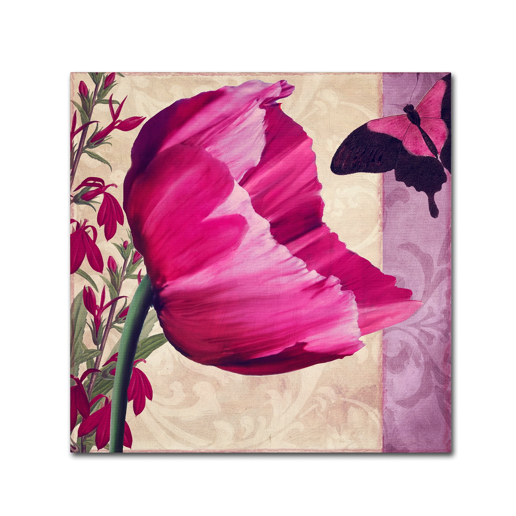 Trademark Fine Art " Pink Poppy II " Canvas Art by Color Bakery