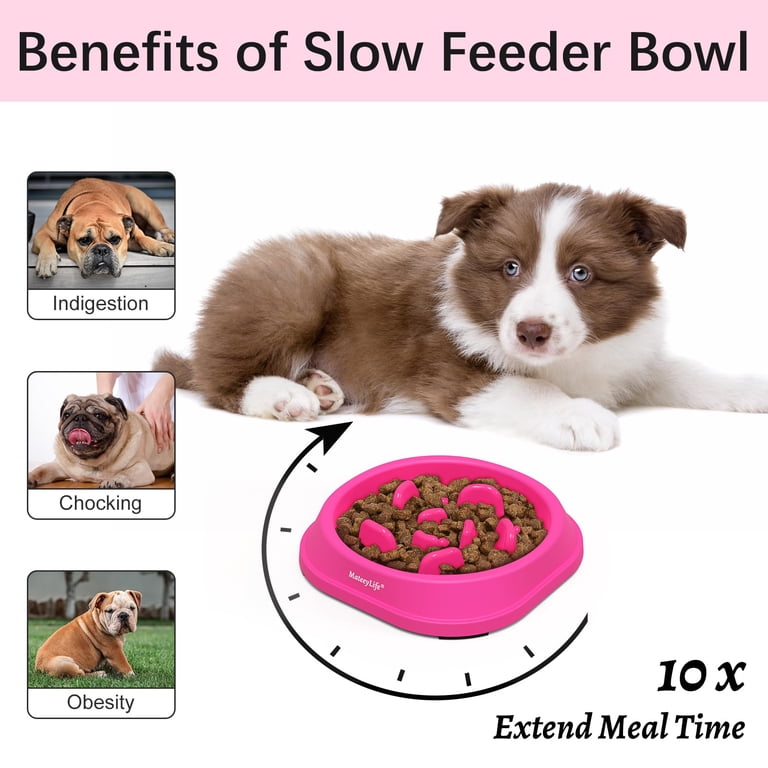 MateeyLife Slow Feeder Dog Bowl, Maze Pattern, Non-Slip photo 2
