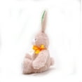 thumbnail image 3 of Made by Aliens Spring Easter Carrot Bunny Sitting Stuffed Animal – Plush Bunny Toy Cute Huggable Rabbit – Perfect Gift for kids & Adults on Easter – 10-inch, 3 of 4
