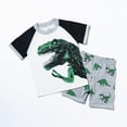 thumbnail image 2 of NIEWTR Toddler Boy Clothes Cartoon Cotton Summer Short Sleeve T-Shirt and Shorts Kids Outfit Set 2-7 Year（White,4-5 Years), 2 of 9