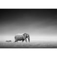 thumbnail image 2 of wall26 - Elephant with Zebra Behind on Open Plains of Etosha Artistic Processing - Removable Wall Mural | Self-Adhesive Large Wallpaper - 100x144 inches, 2 of 6