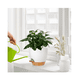 thumbnail image 4 of 7 Pcs Macetas De Plástico Con Riego Automático Para Plantas Belug Blanco, Café, 4 of 5