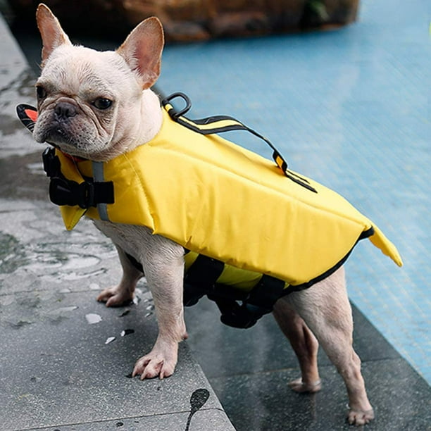 Life jackets sales for big dogs