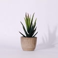 thumbnail image 6 of HCTSHG Artificial Succulents in Pots - Small Fake Plants Mini Succulent Agave Faux Plants Indoor for Boho Bathroom Decor, Bedroom, and Coffee Table Office Farmhouse Decoration, 6 of 9