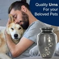 thumbnail image 4 of Trupoint Memorials Gray Large Pet Cremation Urn for Dogs Ashes – for Your Special Dog or Cat for Large Pets up to 122 Pounds, 4 of 7