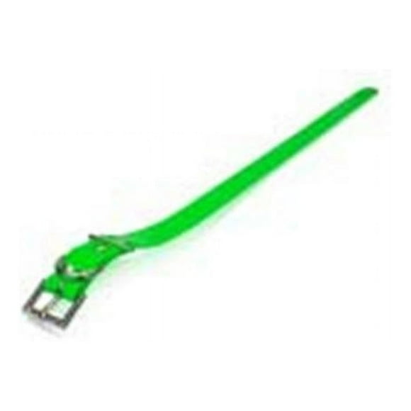Dogtra 744622342048 Strap Green 1 in. x 30 in.