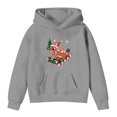 thumbnail image 6 of SonxaHe Toddler Girl Boy Hoodies Christmas Cartoon Print Long Sleeved Sweatshirt Kids Soft Holiday Party Casual Hoodies Gray,Sized 3-4, 6 of 6