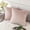 Blush, variant on 16×16 Inch Decorative Throw Pillow Cover 2-Pack Soft Textured Accent Cushion for Sofa Bed Living Room Home Decor