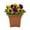 Purple Yellow, variant on Expert Gardener 1gal Blue Yellow Pansy Live Annual Plant Decorative Pot Sun