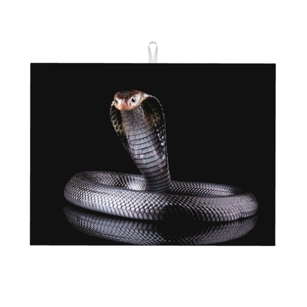 Balery Black Cobra Snake Alfombrilla de Secado para Cocina, 18x24 Pulgadas, Súper Absorbente para Platos y Encimeras