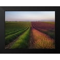 thumbnail image 2 of Anton, Rostovskiy 24x19 Black Modern Framed Museum Art Print Titled - Field Of Lavender, 2 of 5