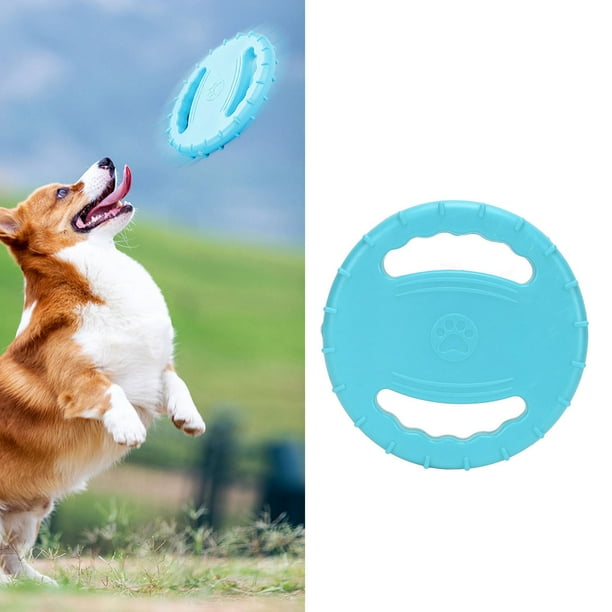 Dog Flying Disc Soft TPR Squeaky Flying Disc Dog Sport Toy For Outdoor Sky Blue Red