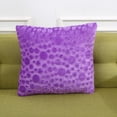 thumbnail image 1 of Plush Pillowcase Cushion Solid Color Chair Cushion Plush Pillow, 1 of 2