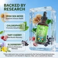 thumbnail image 3 of Mullein Drops for Lungs Liquid Chlorophyll Mullein Leaf Extract Supplement Elderberry Sea Moss Spirulina Chlorella Lobelia Marigold Licorice Marshmallow Lung Detox Cleanse Tincture Men Women 2 fl oz, 3 of 9