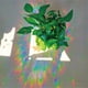 thumbnail image 5 of Yuarrent 3 piezas de película de ventana teñida luz solar Iris vidrio adhesivo extraíble sin pegamento pegatinas de PVC calcomanías para el hogar Decoración del hogar Yuarrent HA063176-00, 5 of 6