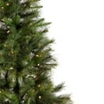 thumbnail image 6 of Northlight Real Touch™️Pre-Lit Slim Canyon Pine Artificial Half Wall Christmas Tree - 7.5' - Clear, 6 of 8