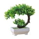 thumbnail image 1 of Plantas artificiales en maceta, adorno para exterior, regalo de inauguración de la casa, suelo, interior Estilo de, 1 of 8