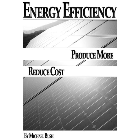 Energy Efficiency: How To Produce More Renewable Energy Without Paying Outrageous Bills? -