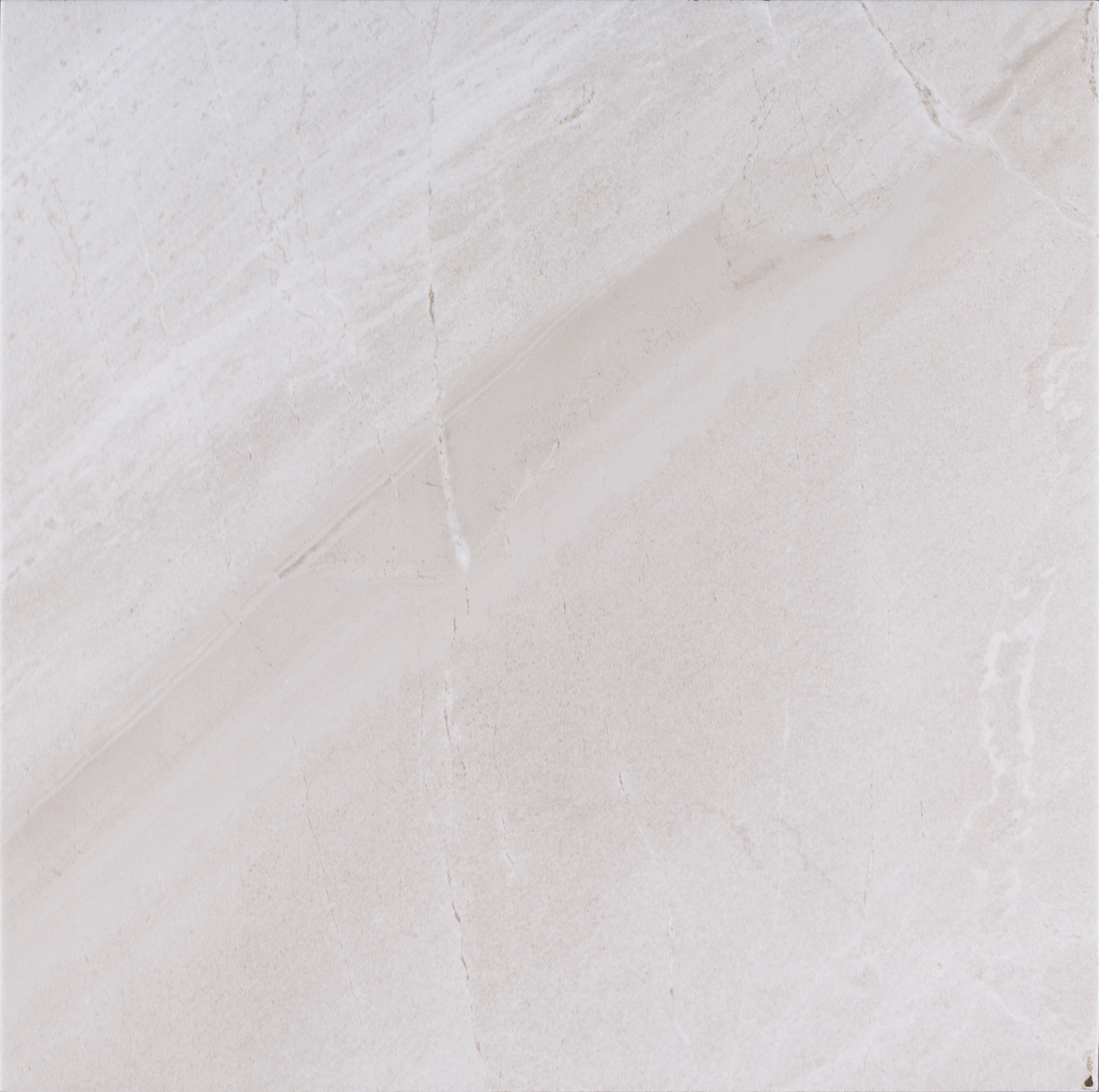 Adélie White a35676d1-05e1-4e35-95ee-