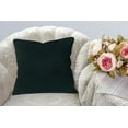 thumbnail image 4 of A1HC Set of 2 Luxurious Soft Velvet Throw Pillow Covers Only, 20"x20", Green, Decorative Cushion Covers with Hidden YKK Zipper for Sofa or Bed, 4 of 5