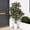 7FT, variant on Gaderth Lifelike Silk Leaves, Multi-Tonal Trunks, Real Touch Artificial Dracaena Tree, Indoor Silk Plant with Pot, Tall Planter, Decorative Stones, Maintenance-Free, Large Faux Indoor Plant