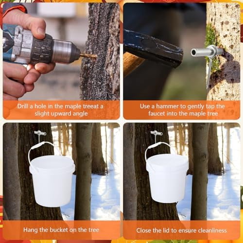 4 Sets Maple Syrup Tapping Kit Included 4 Buckets with Lid, 4 Metal Taps, 4 Filters, 1 Tube(32.8 Ft), 1 Tap & Drill Bit for Experts or Beginners Maple Birch Syrup Collection Supplies
