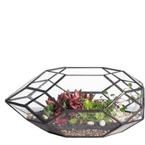 NCYP 6.5 x 5.9 x 11 Inches Geometric Glass Terrarium for Succulent, Air Plants - Large Irregular Clear Planter Pot, Indoor Tabletop Centerpiece, Wedding Garden Decor, Black (No Plants)