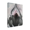thumbnail image 4 of Trademark Fine Art Georgia O'Keefe Black Iris Canvas Wall Art - 35x47, 4 of 4