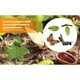 thumbnail image 4 of Naturaleza de Crecimiento Educación, 4 of 9