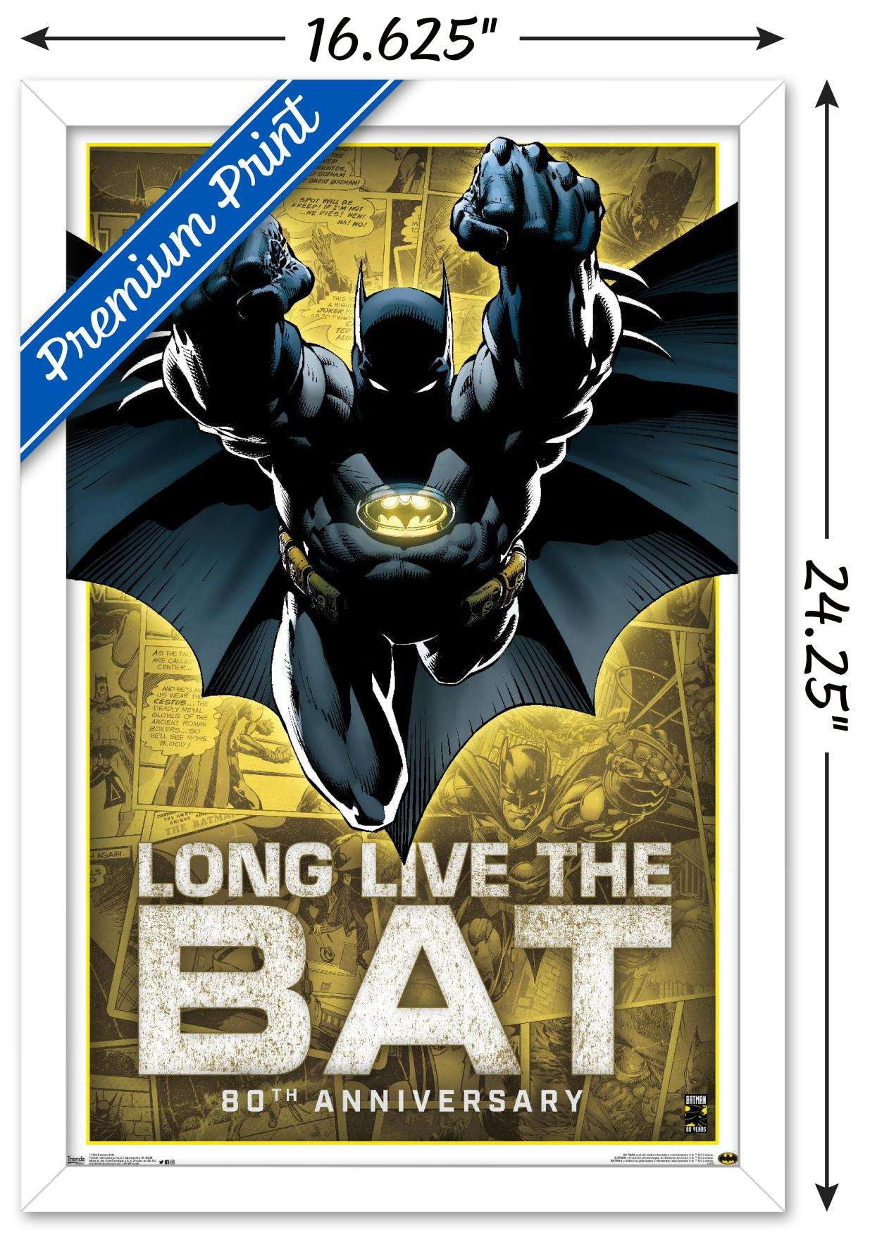 DC Comics - Batman - 80th Anniversary Wall Poster, 14.725" x 22.375", Framed