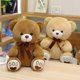 thumbnail image 4 of Oso de peluche de alta calidad para niñas, muñeco de oso de peluche de 5 colores, 35/50/60CM, regalo de cumpleaños para bebés, 4 of 5