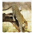 thumbnail image 3 of Ambesonne Exotic Shower Curtain, Leopard Wild Cat on Tree, 69"Wx84"L, Yellow Green Brown, 3 of 5
