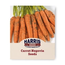 Harris Seeds Organic Carrot Negovia F1, Nantes Type, Sweet Flavor, Non-GMO, 1,000 Count